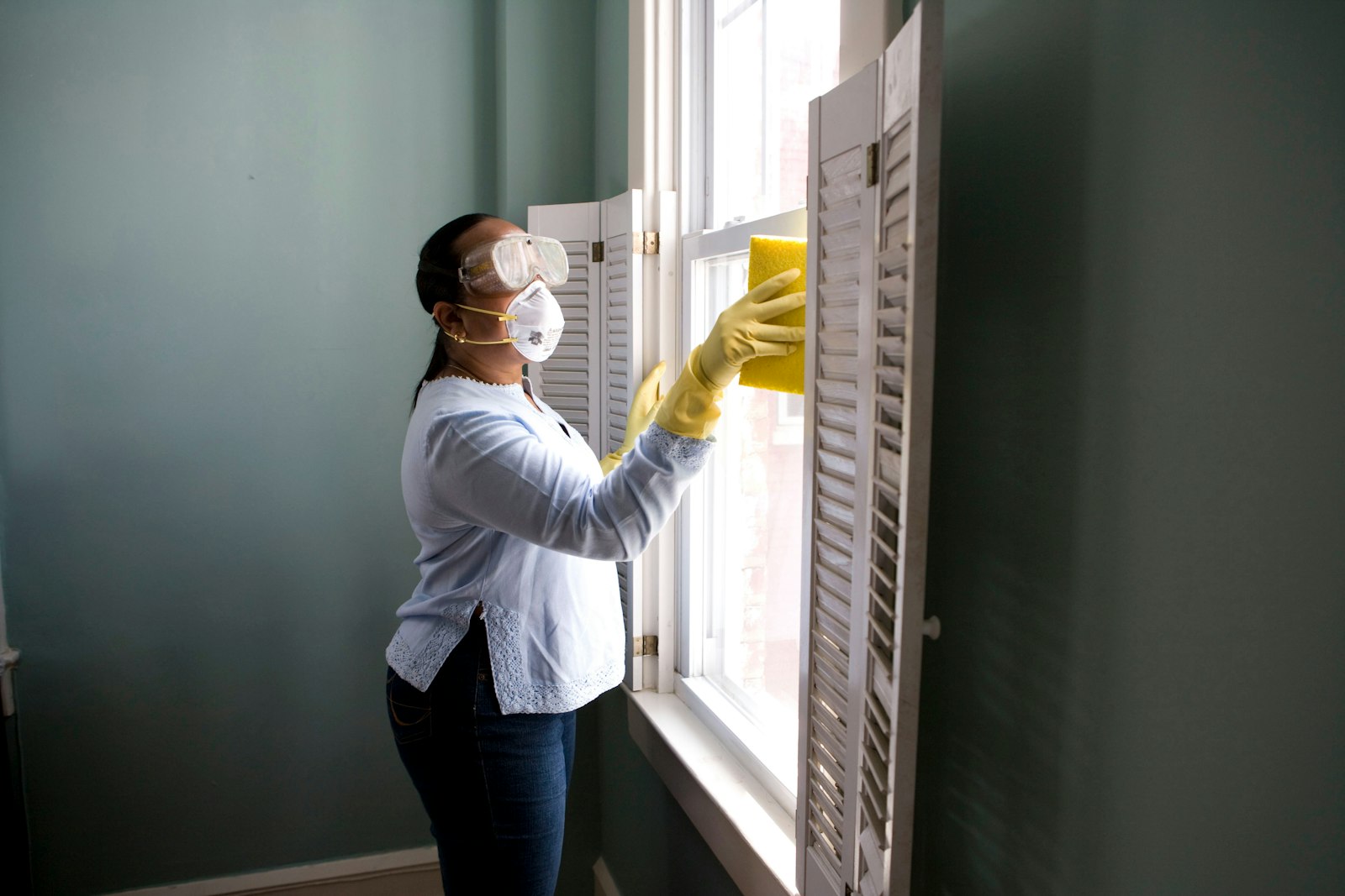 Mold Remediation service in Bothell, WA