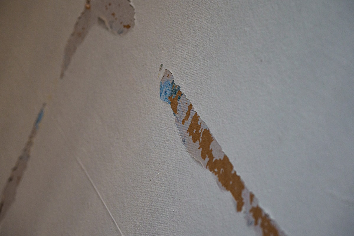 Mold Remediation service in Bothell, WA